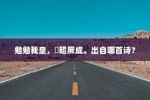 勉勉我皇，遹昭厥成。出自哪首诗？