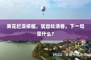 黄花烂漫依槛，犹自吐清香。下一句是什么？
