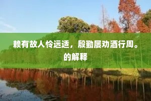 赖有故人怜远适，殷勤屡劝酒行周。的解释