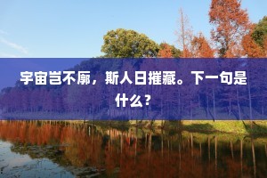 宇宙岂不廓，斯人日摧藏。下一句是什么？