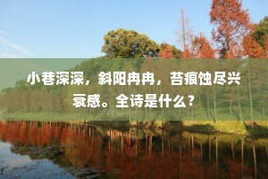 小巷深深，斜阳冉冉，苔痕蚀尽兴衰感。全诗是什么？
