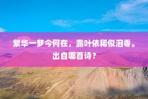 繁华一梦今何在，露叶依稀似泪零。出自哪首诗？