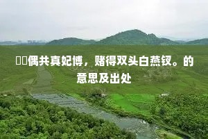 摴蒱偶共真妃博，赌得双头白燕钗。的意思及出处