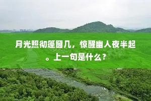 月光照彻篷窗几，惊醒幽人夜半起。上一句是什么？