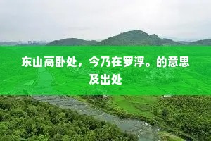 东山高卧处，今乃在罗浮。的意思及出处