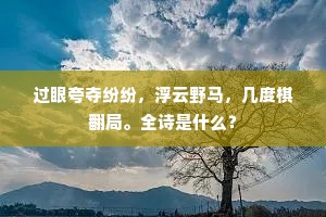 过眼夸夺纷纷，浮云野马，几度棋翻局。全诗是什么？