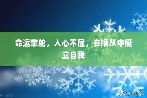 命运掌舵，人心不屈，在顺从中挺立自我
