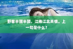 野客半醒半醉，江南江北关情。上一句是什么？