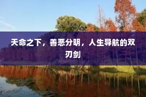 天命之下，善恶分明，人生导航的双刃剑