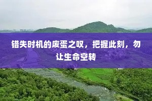 错失时机的废蛋之叹，把握此刻，勿让生命空转