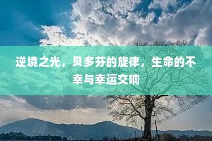 逆境之光，贝多芬的旋律，生命的不幸与幸运交响