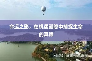 命运之影，在机遇缝隙中捕捉生命的真谛