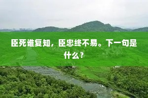 臣死谁复知，臣忠终不易。下一句是什么？