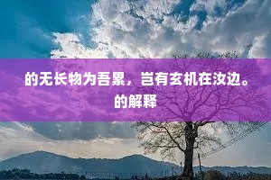的无长物为吾累，岂有玄机在汝边。的解释
