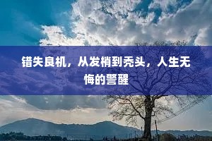 错失良机，从发梢到秃头，人生无悔的警醒