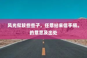风光似较些些子，任意拈来信手捐。的意思及出处