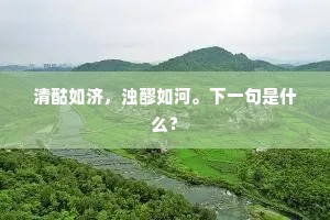 清酤如济，浊醪如河。下一句是什么？