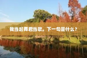 我当起舞君当歌。下一句是什么？