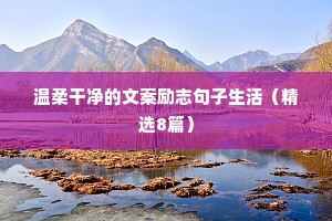 温柔干净的文案励志句子生活（精选8篇）