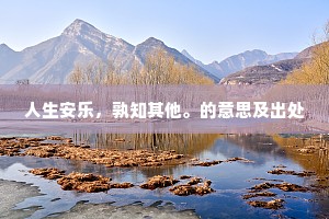 人生安乐，孰知其他。的意思及出处