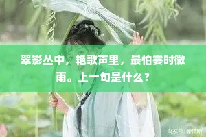 翠影丛中，艳歌声里，最怕霎时微雨。上一句是什么？