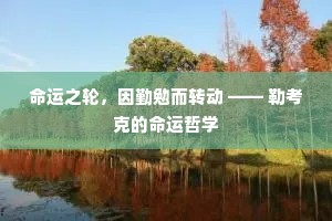 命运之轮，因勤勉而转动 —— 勒考克的命运哲学