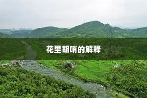 花里胡哨的解释