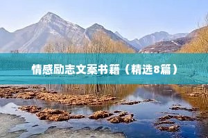 情感励志文案书籍（精选8篇）
