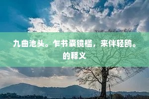 九曲池头。乍书囊镜槛，来伴轻鸥。的释义