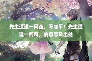 先生遭逢一何奇，吁嗟乎！先生遭逢一何奇，的意思及出处