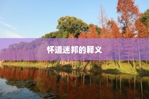 怀道迷邦的释义