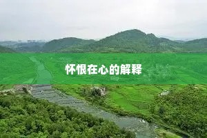 怀恨在心的解释