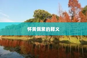 怀黄佩紫的释义