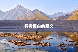怀黄握白的释义