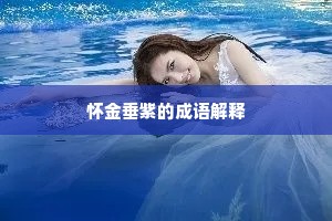 怀金垂紫的成语解释