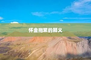 怀金拖紫的释义