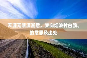 天涯无限潇湘意，梦向烟波付白鸥。的意思及出处
