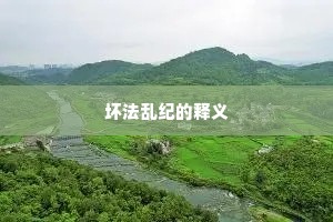 坏法乱纪的释义