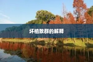 坏植散群的解释