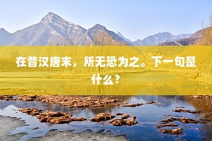 在昔汉唐末，所无恐为之。下一句是什么？