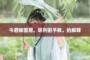 今君被国恩，明刑弼予教。的解释