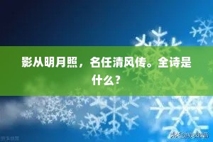 影从明月照，名任清风传。全诗是什么？