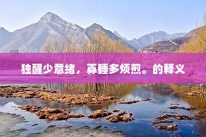 独醒少意绪，寡睡多烦煎。的释义