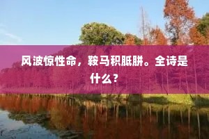 风波惊性命，鞍马积胝胼。全诗是什么？