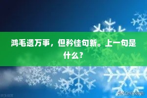 鸿毛遗万事，但矜佳句新。上一句是什么？