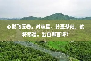 心似飞蓬卷。对秋星、药壶茶灶，试将愁遣。出自哪首诗？