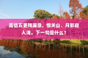 霜信五更残漏急，恨关山、月影窥人浅。下一句是什么？