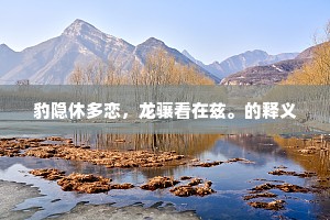 豹隐休多恋，龙骧看在兹。的释义