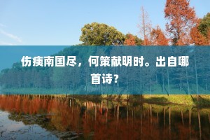 伤痍南国尽，何策献明时。出自哪首诗？