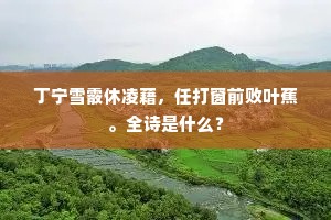 丁宁雪霰休凌藉，任打窗前败叶蕉。全诗是什么？